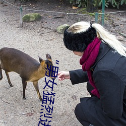 “男女猛烈進出120秒動態圖”:顛覆你對動圖的認知!