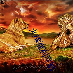 火辣福利导航