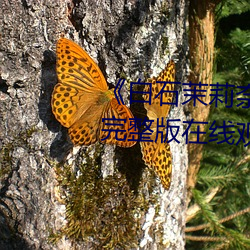《白(bái)石茉莉奈在线观看(kàn)》电(diàn)视剧完整版在线观看