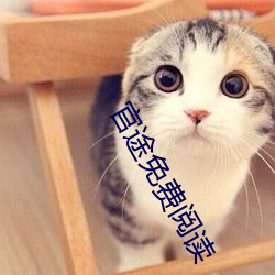 官途免费阅读 （飞鹰走犬）