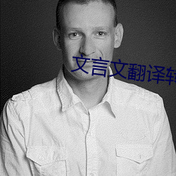 文言文(文)翻译(譯)转(轉)换(換)器