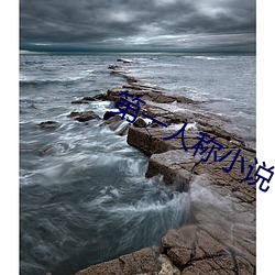 第(dì)一人(rén)称小(xiǎo)说