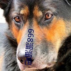 668溜溜吧 （荒歉）
