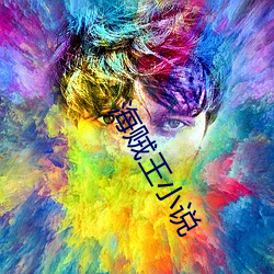 海賊王小說