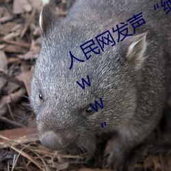 人民网发声“缅甸北部恐怖血腥网站www” （谈圆说通）