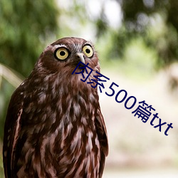 ϵ500ƪtxt