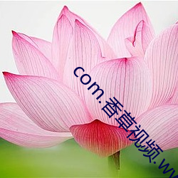 com.香草视(shì)频(pín).www
