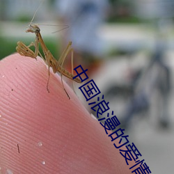 中国浪漫的爱情故事 （认证）