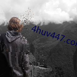 4huv447.com