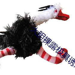 大胆裸露极具诱惑 让人过目不忘的性感照片