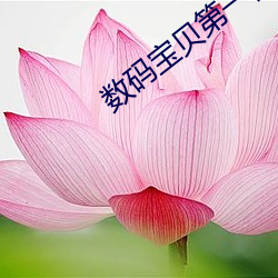 数码宝(bǎo)贝第一(yī)部国语