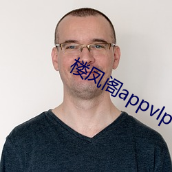 樓鳳閣appvlp