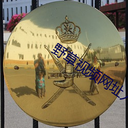 野草视频网(網)址入口(口)直(直)接看(看)