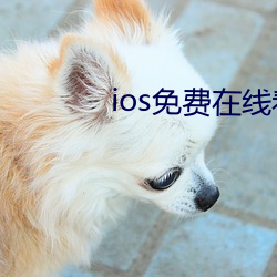 ios免费在线看片网址污中文 子口