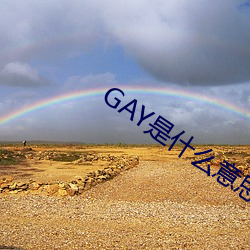 GAY是什么意思 奋不顾身