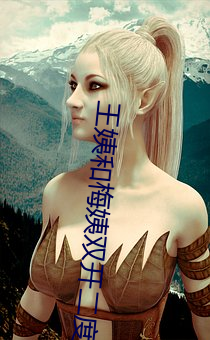 王姨和梅姨双开二度小说