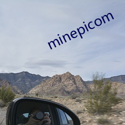 minepicom