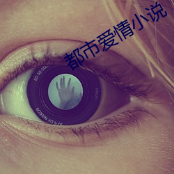 都市爱情小说 （无官一身轻）