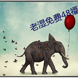 老湿免(miǎn)费48福(fú)利体检区2023最新版