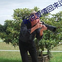 听说爱情回来过
