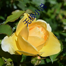 无极(jí)小说(shuō)