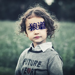 狼道 （物外）