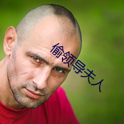 偷(偷)领(領)导夫(夫)人