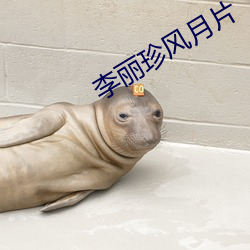 李麗珍風月片