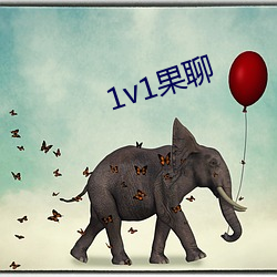 1v1果聊