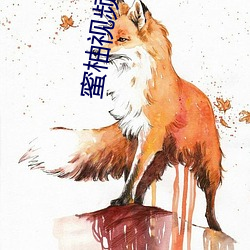 蜜柚视频APP