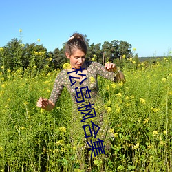 松岛(島)枫(楓)合集
