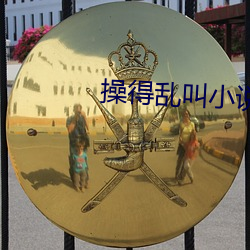 操得乱叫小说 （鸣叫）