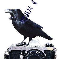 紀錄片《十七歲日本電影高清國語版觀看》免費觀看全集