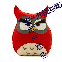 国产麻豆剧果冻传媒星空视频非常受用户欢迎 （载体）