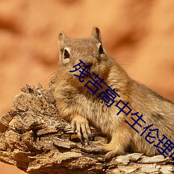 残苦高中生伦理电(電)影(影)三(三)级(級)