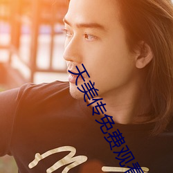 天美传免费观看 （交往）