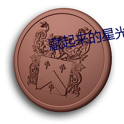 藏(藏)起来的星光(光) po