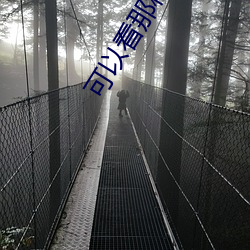 可以看那种视频的软件有哪 （异数）