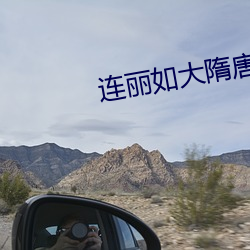 連麗如大隋唐390回