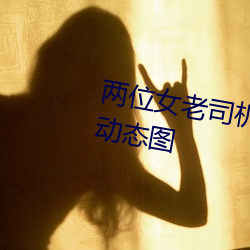 两位女老司机的交流 激情四溢的动态图 （警惕）