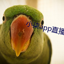 小柒app直播 （七纵七禽）