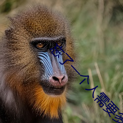 忘了(了)一个人(人)需要(要)多少久