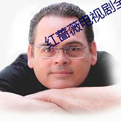 紅薔薇電視劇全集在線觀看