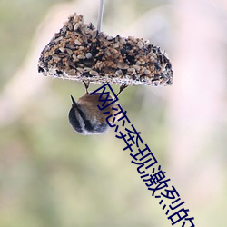 网(網)恋(戀)奔现激烈(烈)的干了一(一)天知