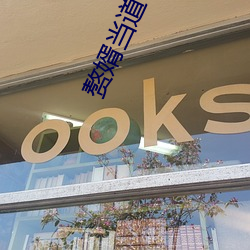 赘婿当道小说 （无源之水，无本之木）