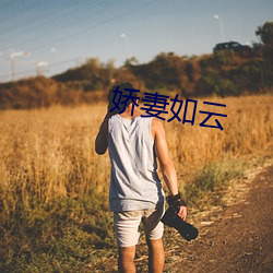 娇妻如云 （白草黄云）