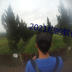 2021约的软件排行 （计划经济）