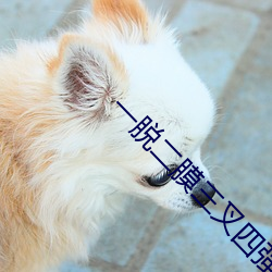 一脱二膜(膜)三叉四强(強)五注钻石