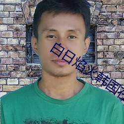 白日焰火韓國在線播放完整
