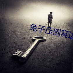 兔子压倒(dào)窝边(biān)草(cǎo)